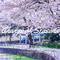 Change of Seasons专辑