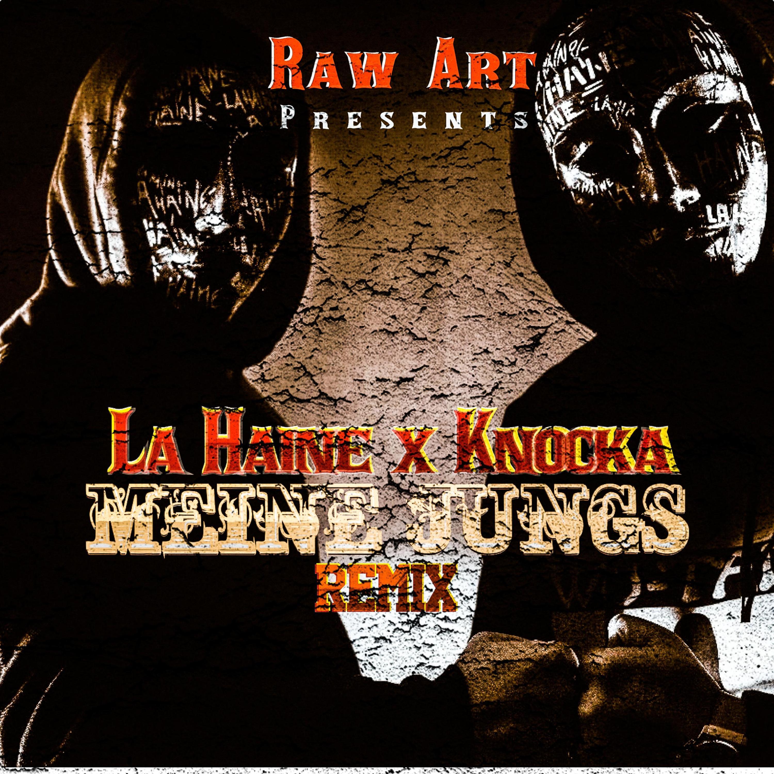Meine Jungs (feat. La Haine) [Remix]