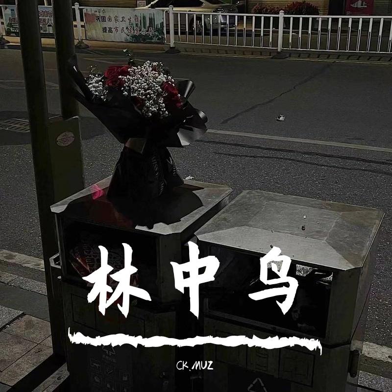 林中鸟0.9x