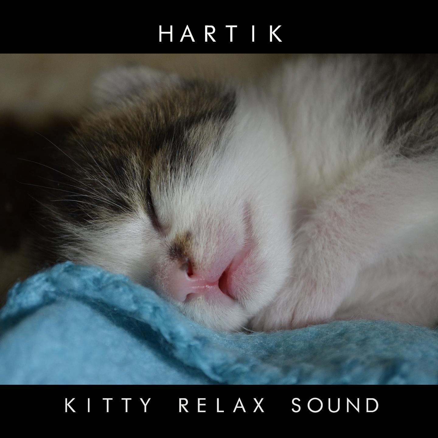 Kitty relax sound专辑