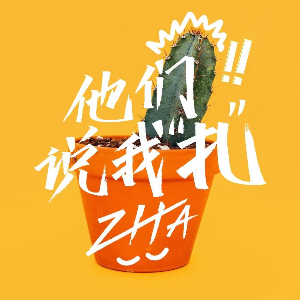 他们说我扎