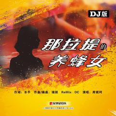 那拉提的养蜂女 (DJ版)