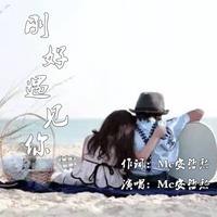 蒋林刚、牛丹 - 对你唱不完的歌