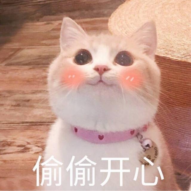 是非题
