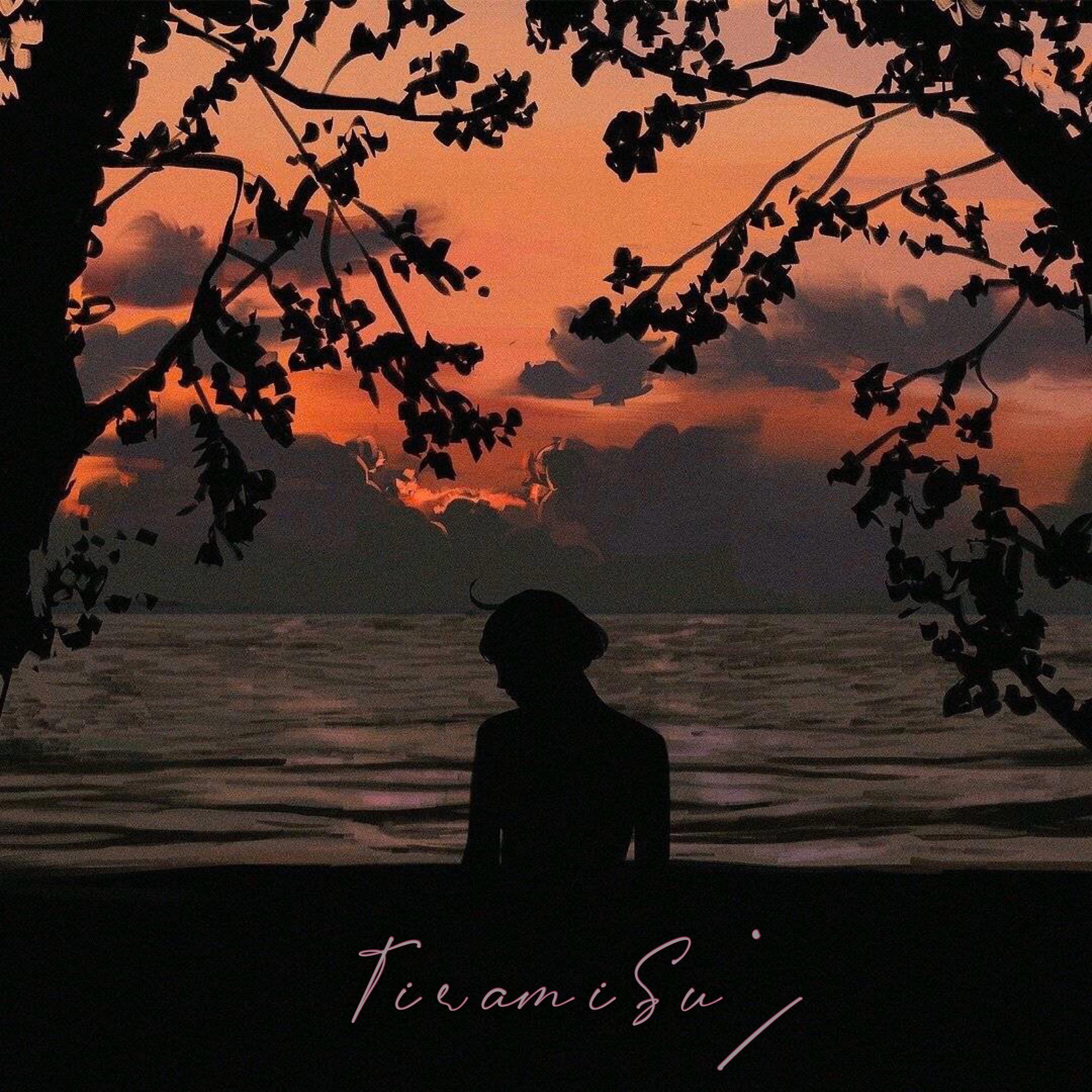 Tiramisu . 提拉米苏