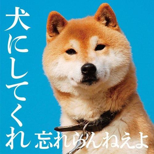 犬にしてくれ专辑