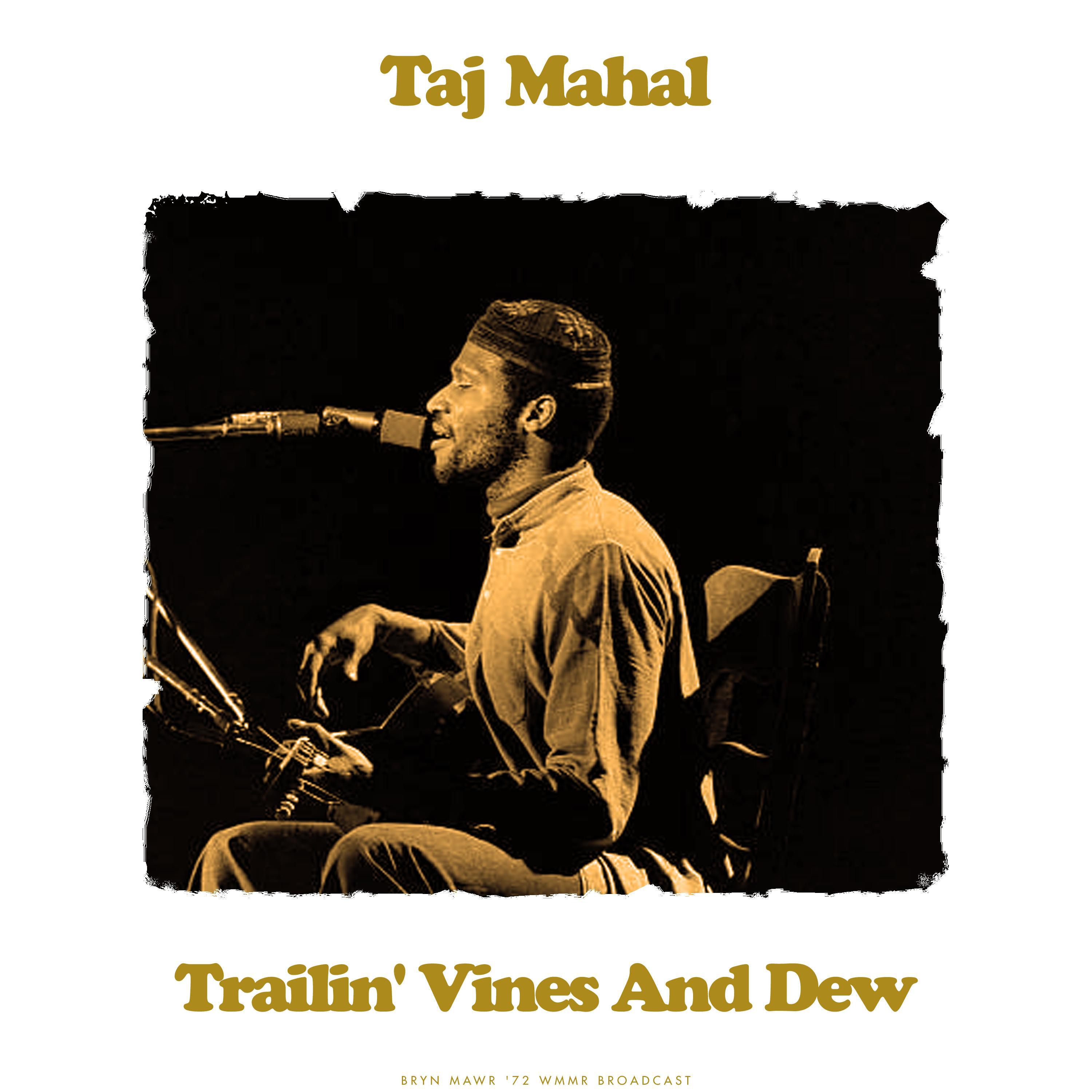 Taj Mahal - Kalimba Song (Live)