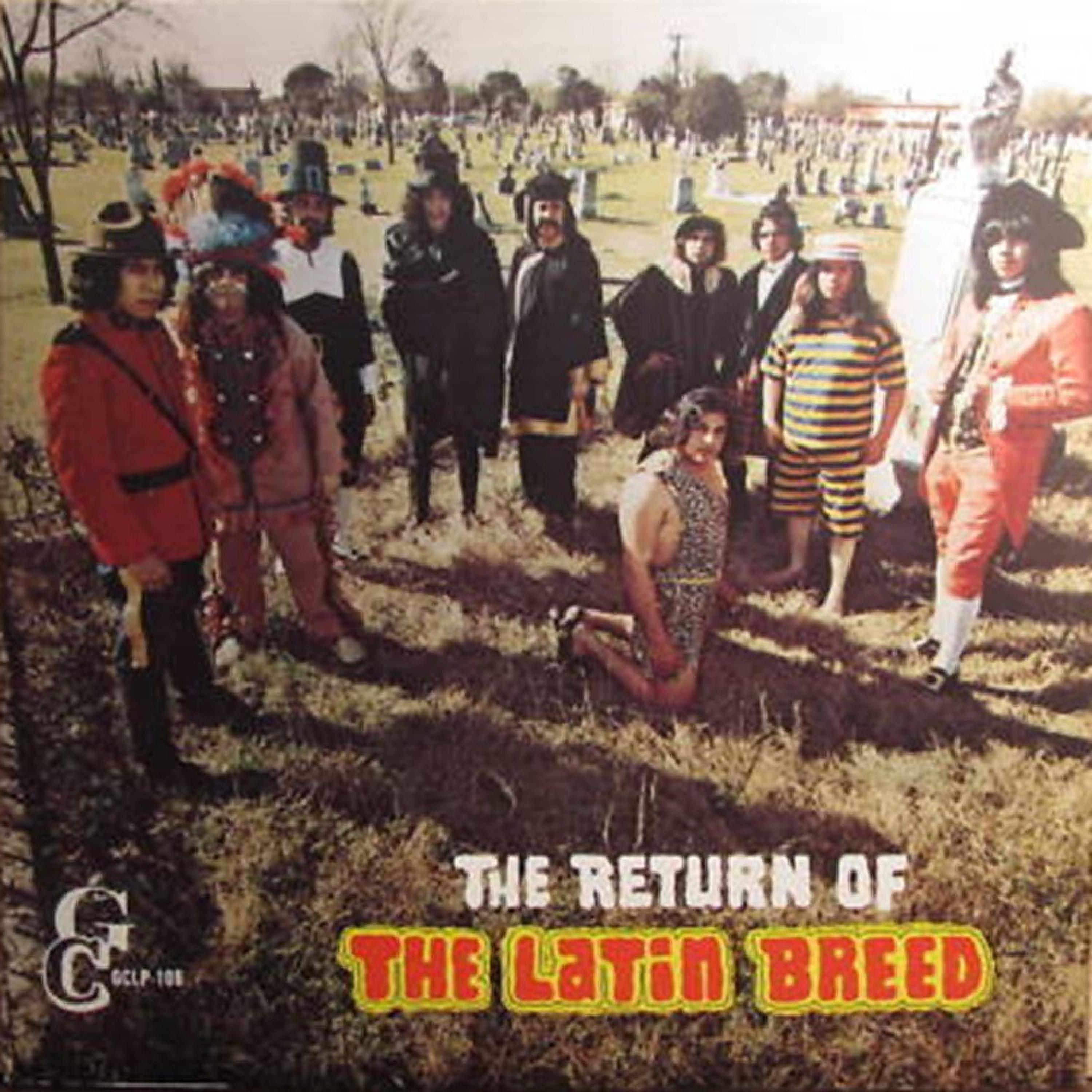 Latin Breed - Me Aventaron Tus Brazos