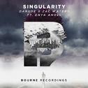 Singularity专辑