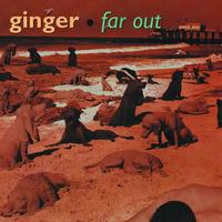 Ginger - SOLID GROUND