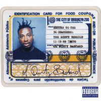 Dirty Dancin - Ol Dirty Bastard (instrumental)