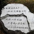 再别康桥
