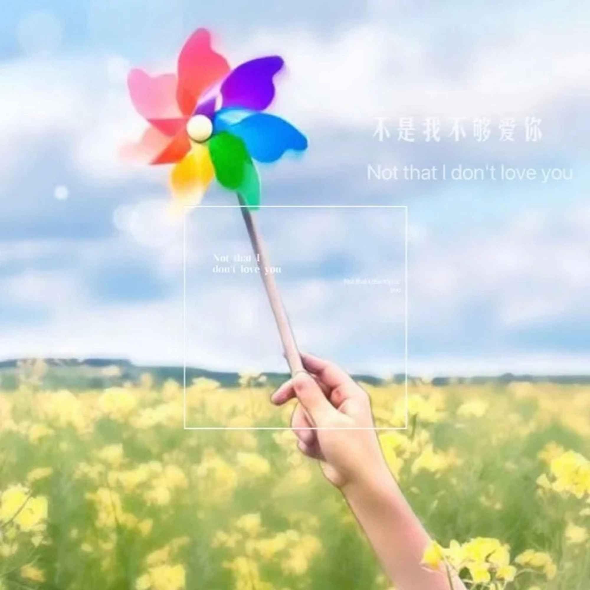 何畅（虚拟歌手）歌曲封面