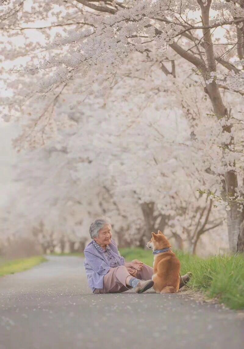可能否专辑