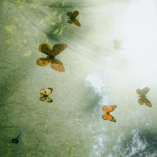 贺一航-请你先说好