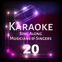 Karaoke Sing Along Musicians & Singers, Vol. 20专辑