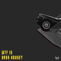 什么是Bass House？（WTF Is Bass House?）