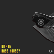 什么是Bass House？（WTF Is Bass House?）