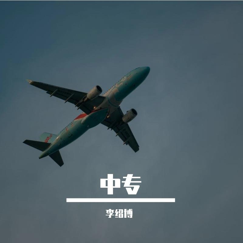 中专