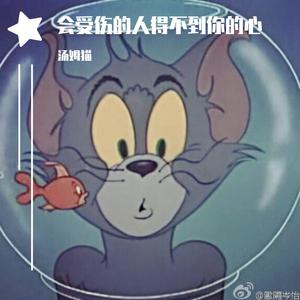 受伤的玫瑰 你最美-纯伴-(想念提供) （降3半音）