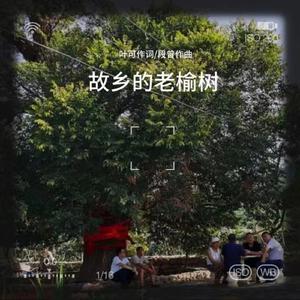 曹海 - 故乡的老榆树