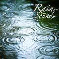 Rain Sounds: Rain Sound Meditation, Relaxing Sound of Rain, Massage Yoga Music and Ambient Soothing 