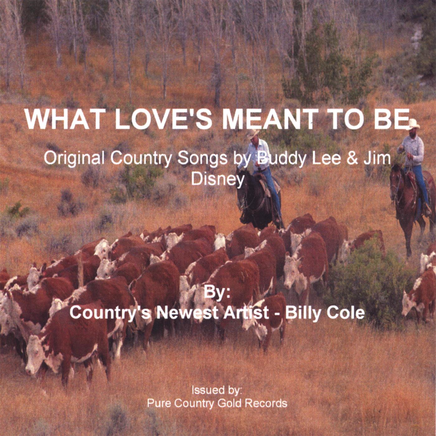 What Love's Meant To Be