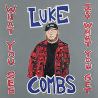 What You See Is What You Get - Luke Combs (BB Instrumental) 无和声伴奏