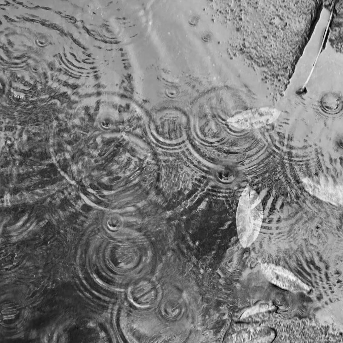 思念在雨夜蔓延