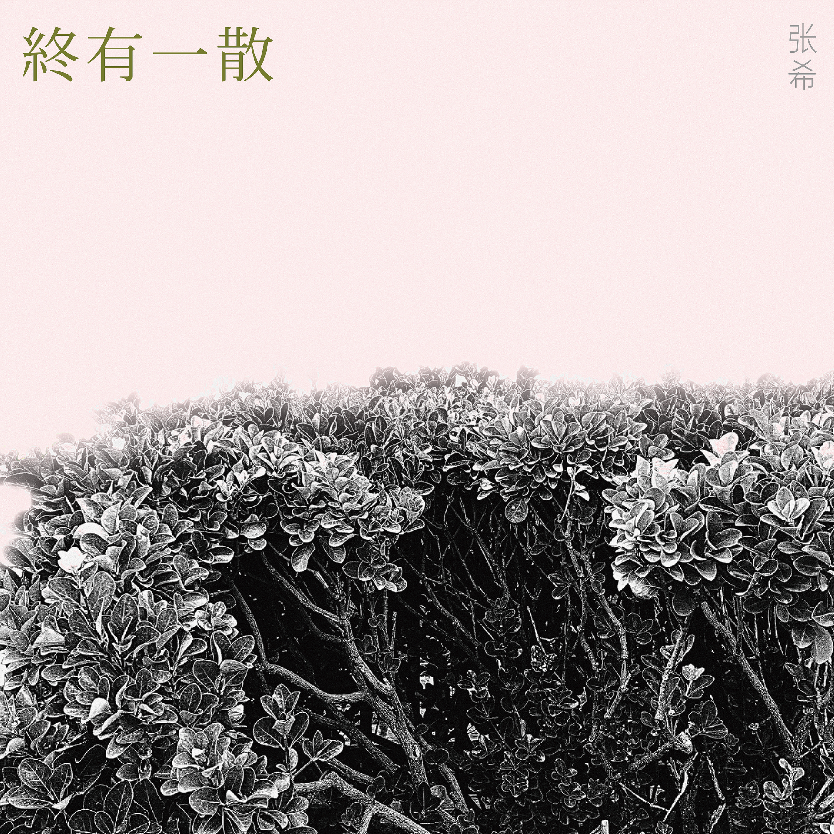 终有一散