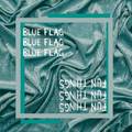 Blue Flag / Fun Things