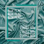 Blue Flag / Fun Things专辑