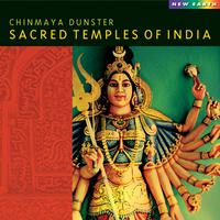 Chinmaya Dunster -  Gir Forest (Instrumental)