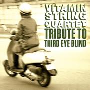 The Vitamin String Quartet Tribute to Third Eye Blind