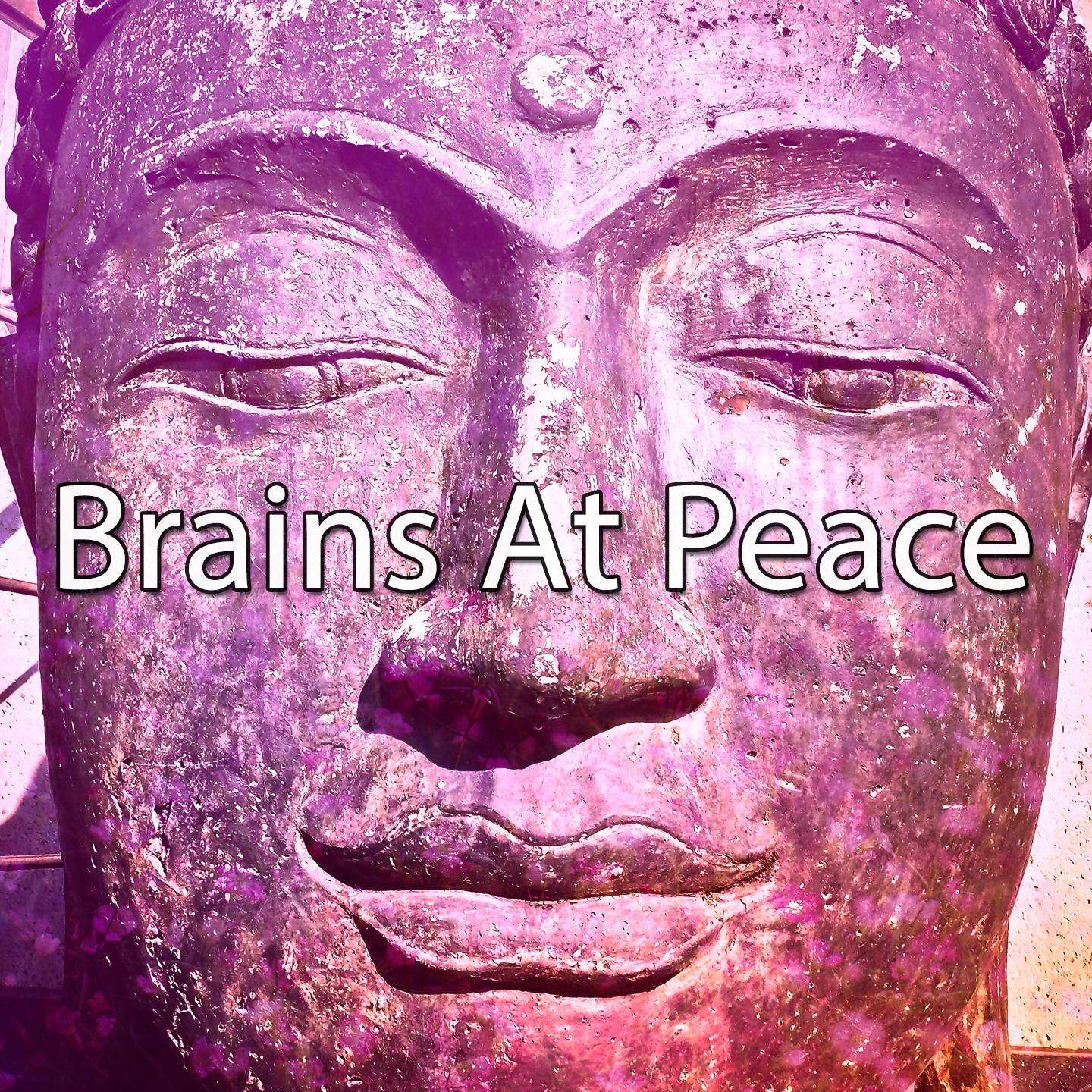 Brains At Peace专辑