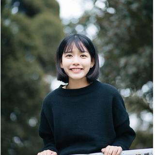 房东的猫/陈鸿宇/沈以诚