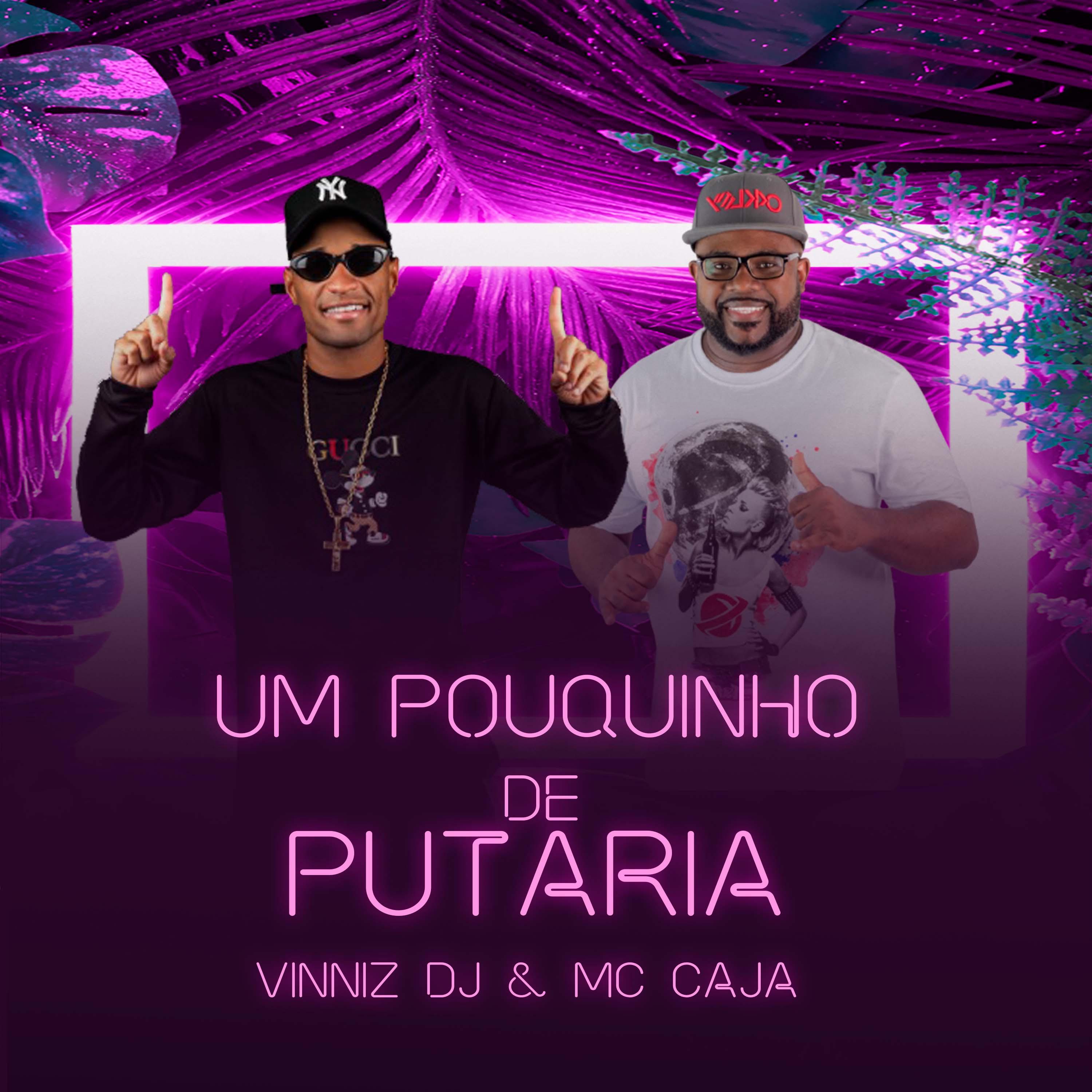 Vinniz DJ - Um Pouquinho de Putaria