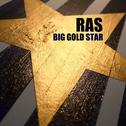 Big Gold Star专辑