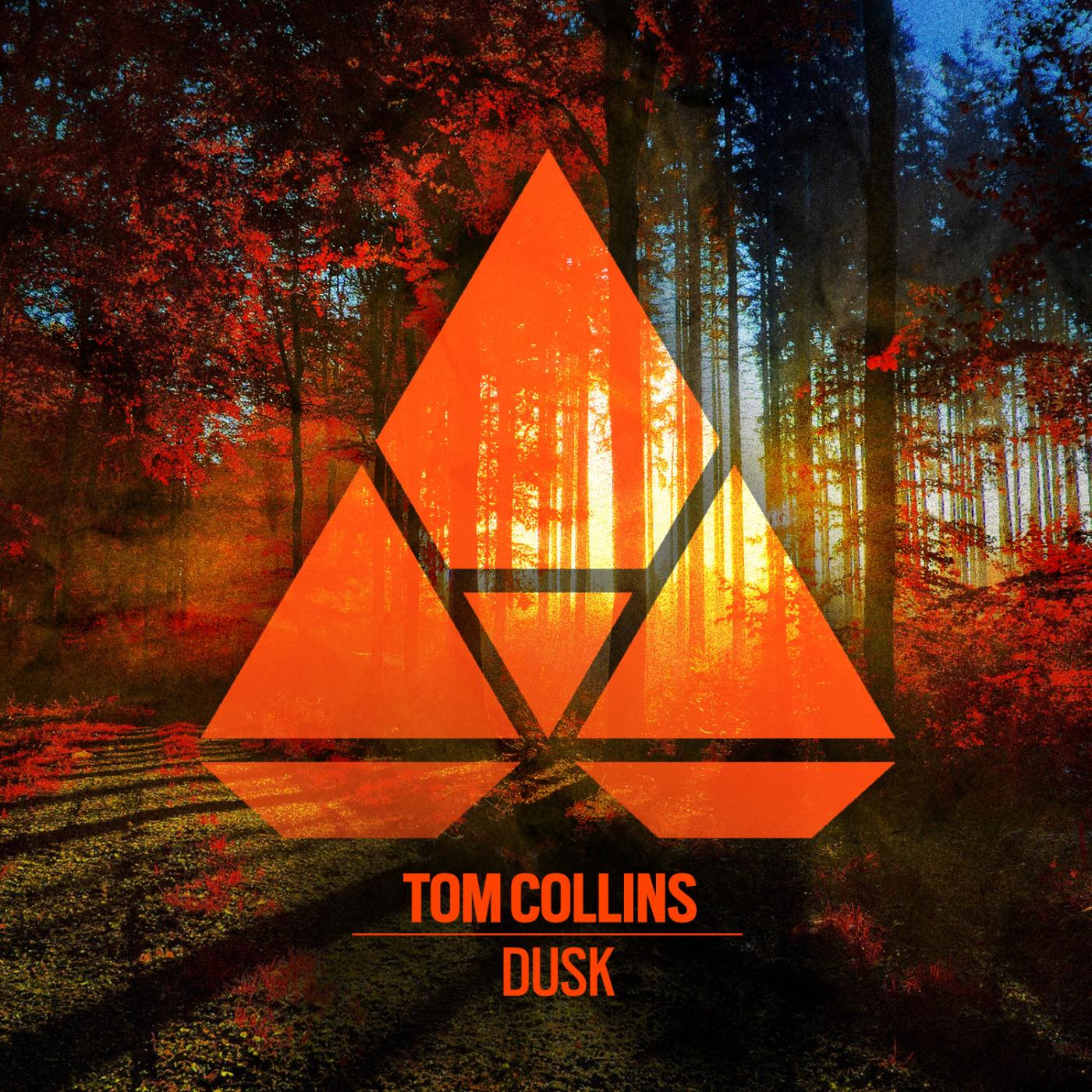 Tom Collins - Dusk (Original Mix)