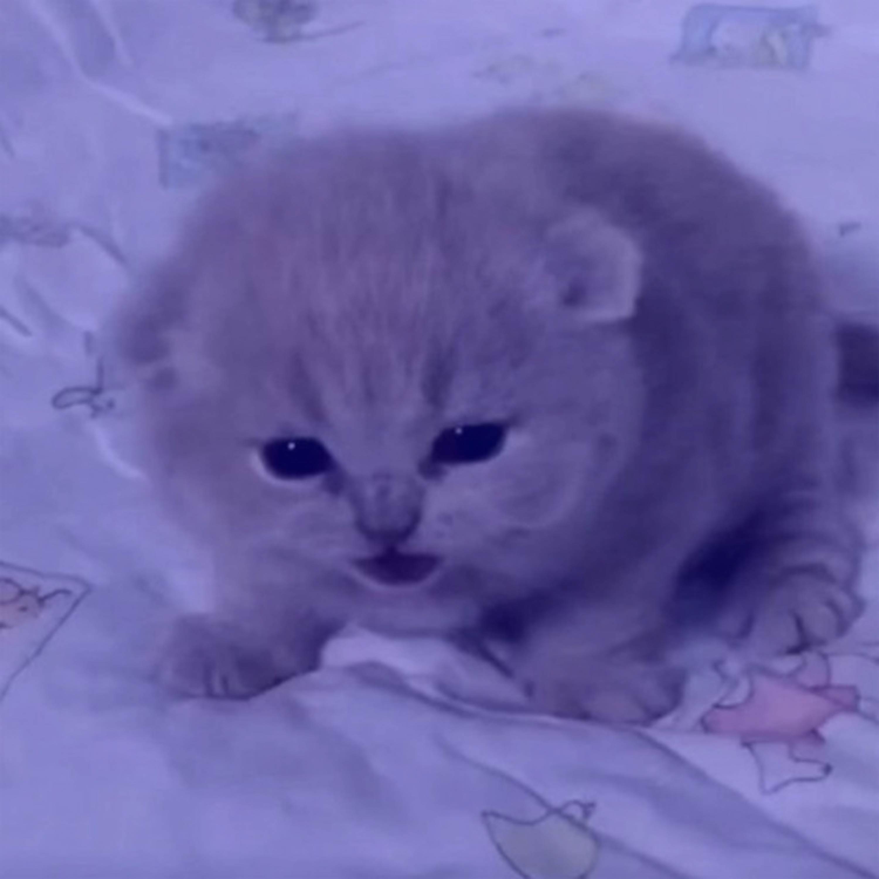 Parent Issues (Best Part Looped)