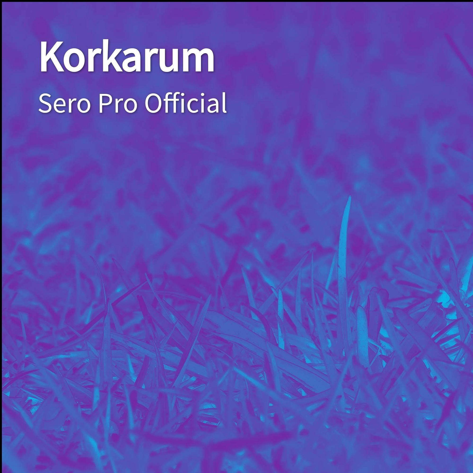 Korkarum
