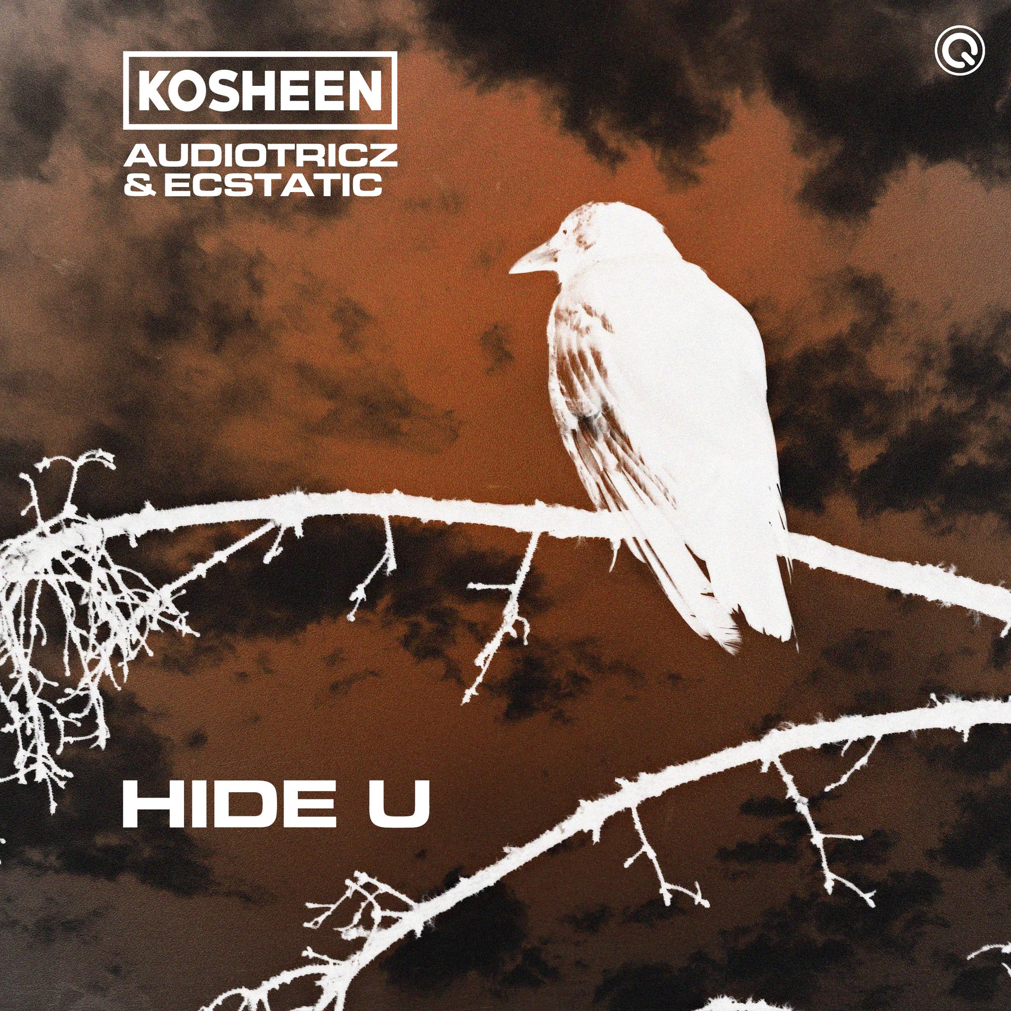 Hide U