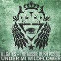 Under Mi Wildflower专辑