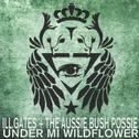 Under Mi Wildflower专辑