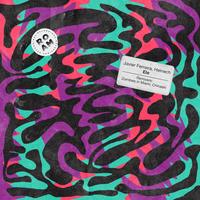 Javier Ferreira - Just What I Need (Zombies in Miami Remix)