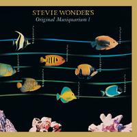 Stevie Wonder - You Haven t Done Nothin  (karaoke)