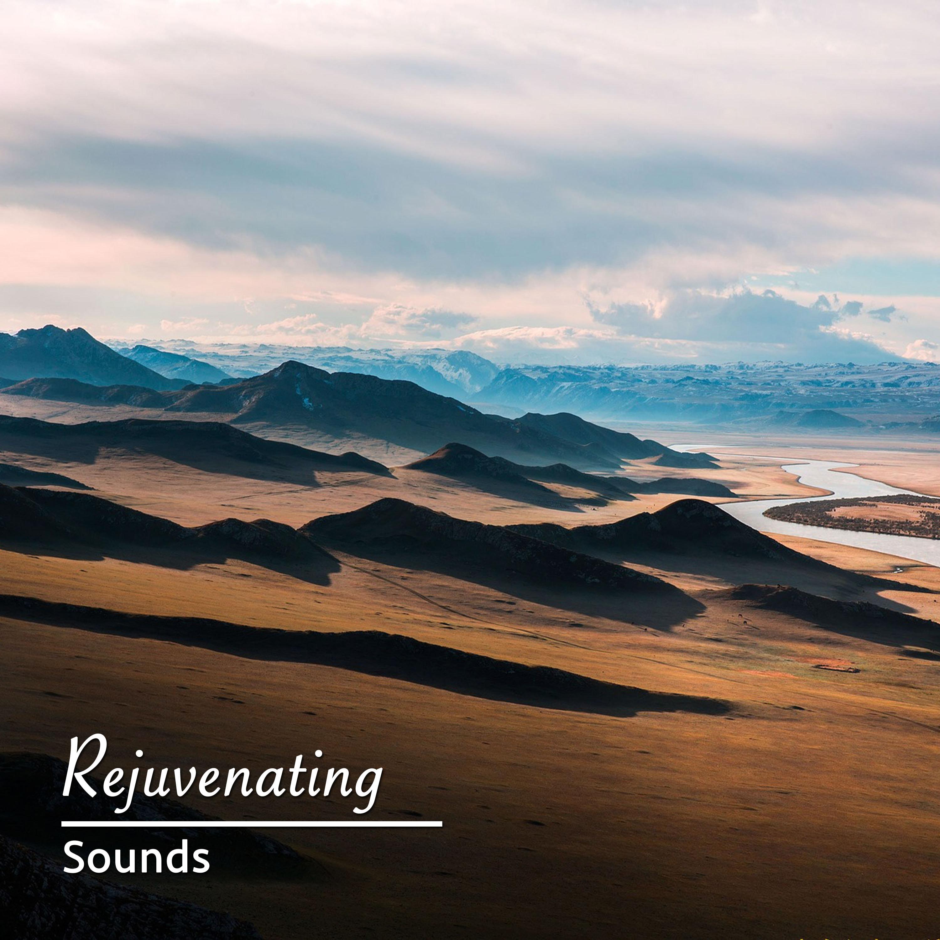 #14 Rejuvenating Sounds for Meditation and Yoga专辑