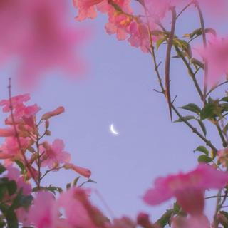 人生如梦何其短，镜花水月何必愁