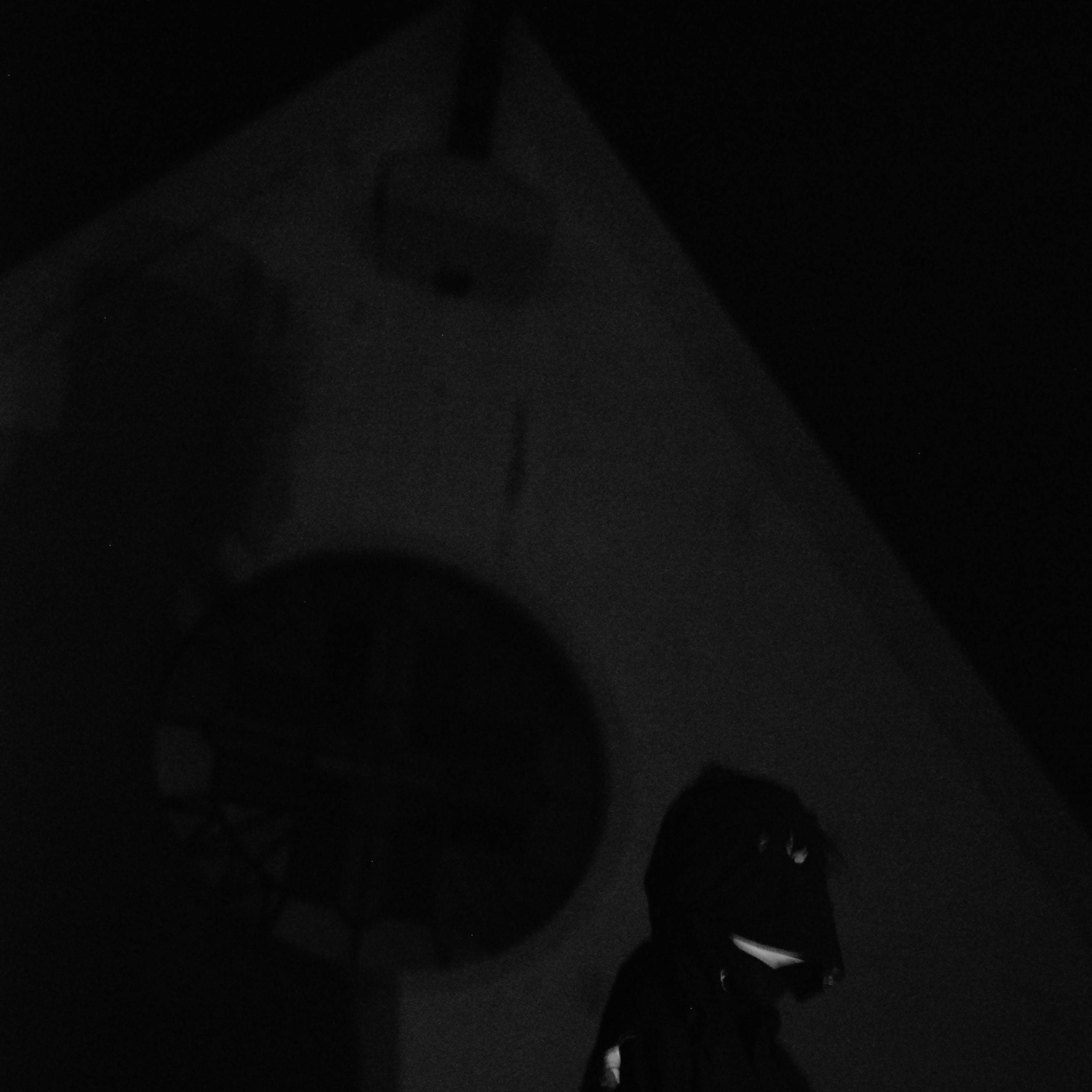 alma vendida (feat. 郭乔华 & LeafaBBG)