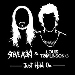 Steve Aoki,Louis Tomlinson《Just Hold On吉他谱》_节奏充满活力